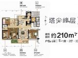 碧桂园城市之光_5室2厅3卫 建面210平米