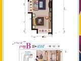 国际学园_1室1厅1卫 建面45平米