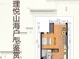 大理悦山海_公寓D 建面48平米