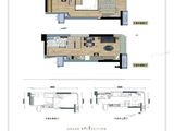 龙湖汉峪光年_D1户型 建面40平米