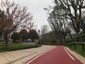 滨江路以南，中建四号路以东，仰天湖以西