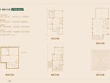 华发观山水_A1-D户型-独栋别墅 建面310平米